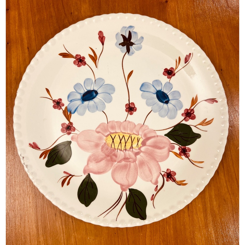 Blue Ridge Southern Potteries Hand Painted Floral Dinner Plate Scalloped Rim USA